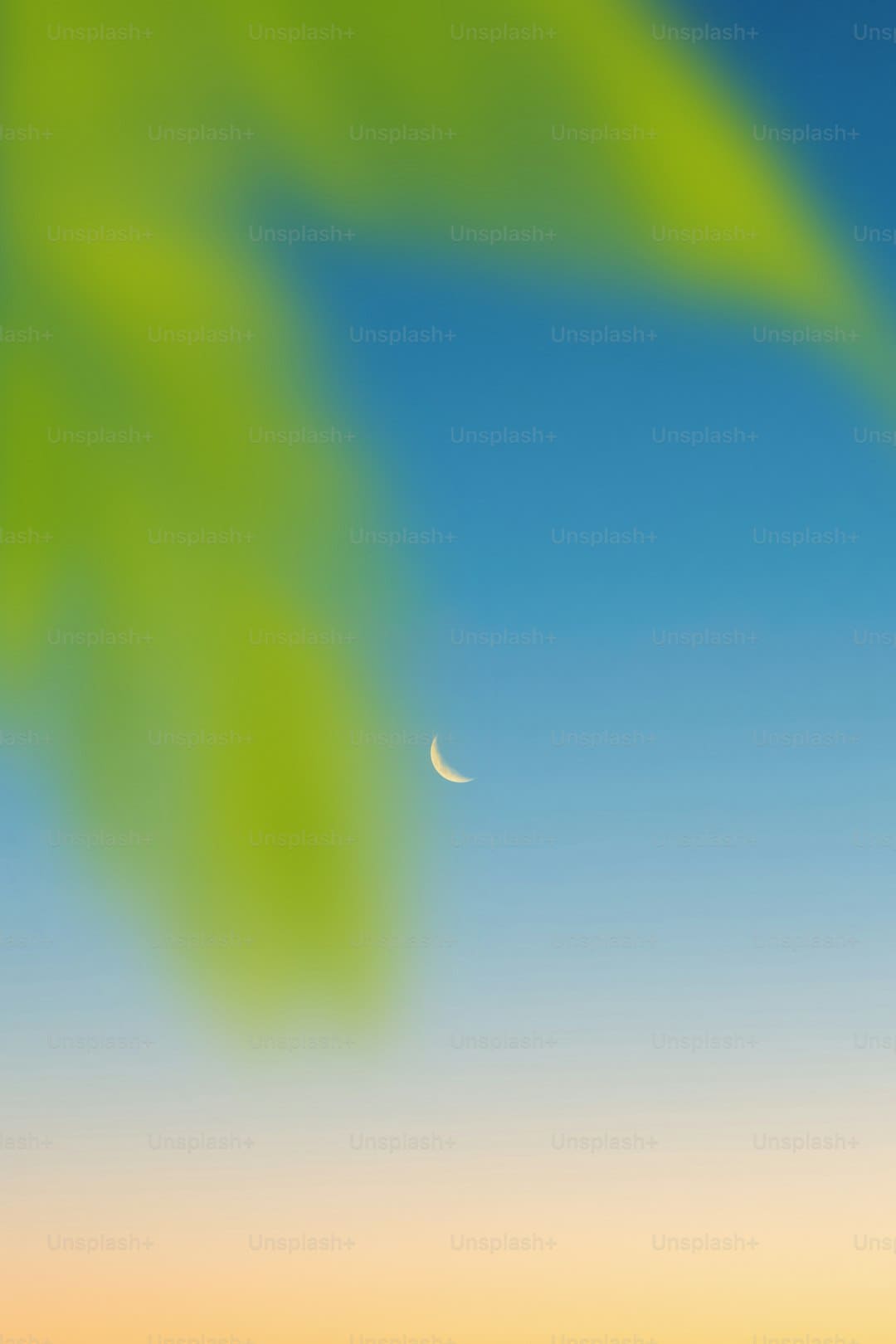 江西安远:青山绿水间畅享“生态游”